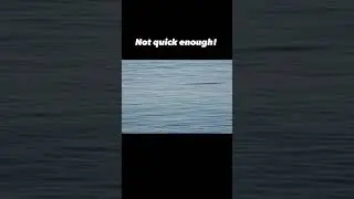 Swing and a miss!