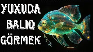 YUXUDA BALİQ GORMEK [YUXU YOZMALAR]