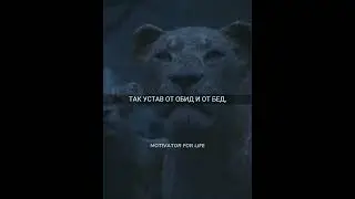 Красивые цитаты для мотивации! #мотивация #shorts #цитаты