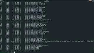 Linux Commands Every Beginner Should Know in 2024