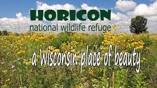 The beauty of Wisconsin's Horicon National Wildlife Refuge