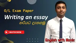 How to Write the Perfect Essay for O/L Exams | Step-by-Step Guide