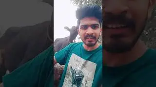 deyii ni enthar ee kanikkunne🤣😂
