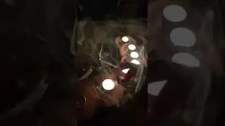 Candles smoke epic