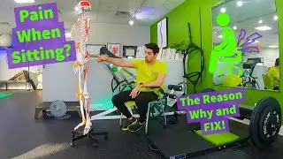 Is Sitting the Cause of Your Back Pain? Here is the Reason Why and the Solution for it!