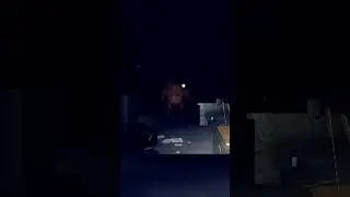 bros still bald 
