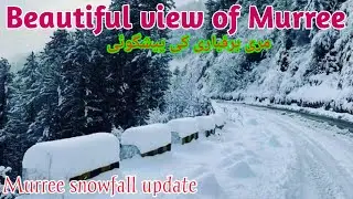 Murree live Snowfall | Murree weather | murree live today | Nathia gali weather