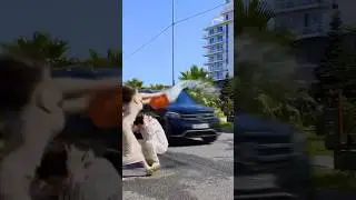 А с Вами играли? 🧐🎭👇🏻🗣️Выпускаем?🎼🎶