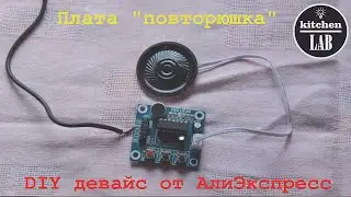 Плата-"повторюшка" ISD1820