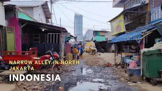 Kampung Nelayan Di Jakarta | Pemukiman Kumuh Di Jakarta