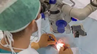 НАСЛЕДНИКИ ТУРА | PEDIATRIC