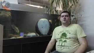 Как выбрать фильтр для небольшого аквариума. Делюсь опытом