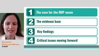 The humanitarian-development-peace HDP nexus | Essential briefings for humanitarian decision-makers