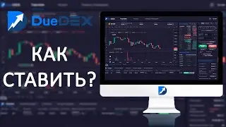 Простая Торговля С Duedex Risk Manager