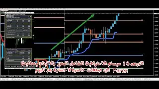 الدرس 19 سيستم الاحترافية الشامل المعزز بالاتجاه ومعالجة اى صفقات خاسرة لاخسارة بعد اليوم  Forex
