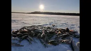 ОТЛИЧНАЯ РЫБАЛКА НА ТАЁЖНОМ ОЗЕРЕ EXCELLENT FISHING ON THE TAIGA LAKE