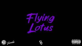 GQ - Flying Lotus Freestyle