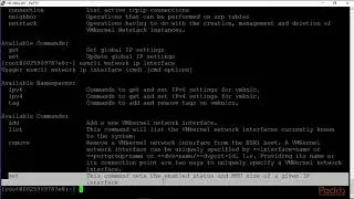 ESXi 6 Command Line Interface CLI for Networking