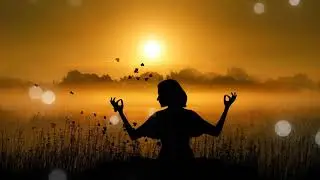 FREE Stock Footage - Yoga Meditation Relaxation Zen