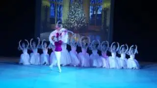 Балетный спектакль к празднованию 135-летия Анны Павловой