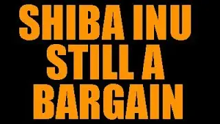 Shiba Inu Crypto Is Still A Baragain.  See Our Price Prediction