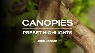 Canopies - Preset Highlights