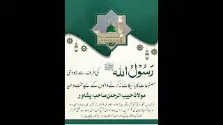 Rasoolullah ﷺ Ki Sakht Waeed Boycott Na Krny Walon Ke Liey, Habeeb ur Rahman Peshawar | @apnaanis