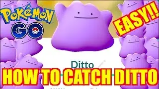 HOW TO CATCH DITTO (EASY) IN POKEMON GO!! LIVE CATCHING A DITTO!