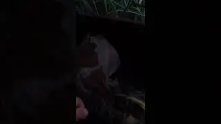 Ветер и наш улов 