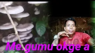 Me.gumu okge a