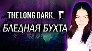 The Long Dark ► ИССЛЕДУЕМ БЛЕДНУЮ БУХТУ (Тест на лаги)