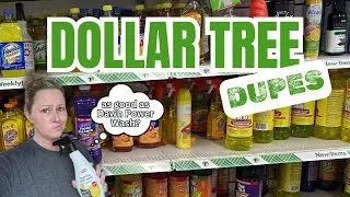 DOES THE DOLLAR TREE HAVE CLEANING DUPES? Shop And Test Them With Me!