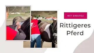 Shiatsu für Pferde - Besser Reiten mit feinfühliger Körperarbeit