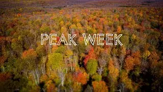 Fall Foliage in the Pocono Mountains