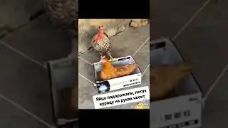 какие они счастливые #счастье