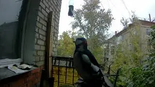Дятел кричит. Как поет дятел. Или не поет, а вякает-квакает.