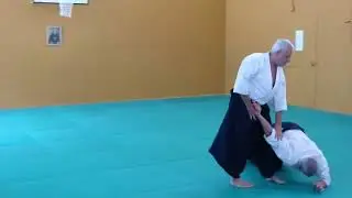 Aikido - Roberto Martucci - Ikkyo harmony