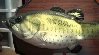 ***BIG MOUTH BILLY BASS*** (Singing fish)