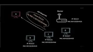 #kali​​ #Python ☠️Kali  Разрабатываем алгоритм поиска клиентов находящихся с нами в одной сети☠️