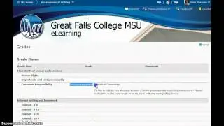 View a grade in D2L's Grades tool