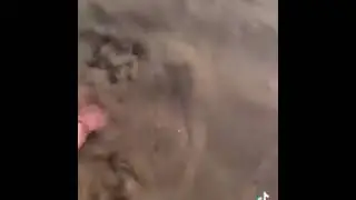 неожиданная находка в писке