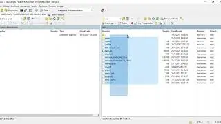 INSTALL MIKROTISP MANAGER EN LINUX DEBIAN 8 X