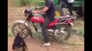 Нетипичный махачкала