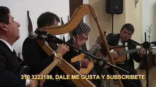 SERENATA BOGOTA ESTUDIANTINA