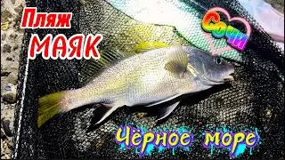 Разведка на пляже Маяк в центре Сочи 