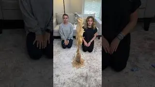 Soda explosion on our white rug😖 #satisfyingvideo #oddlysatisfying #cleaning #cokeandmentos
