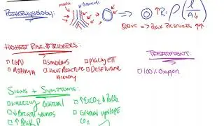 Intraoperative Bronchospasm