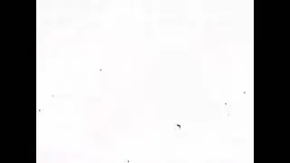 Hutao Genshin impact Edit /Alight motion/