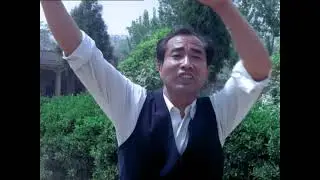 Chinese Martial Arts (in English)