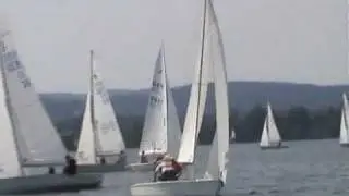 Kielzugvogel